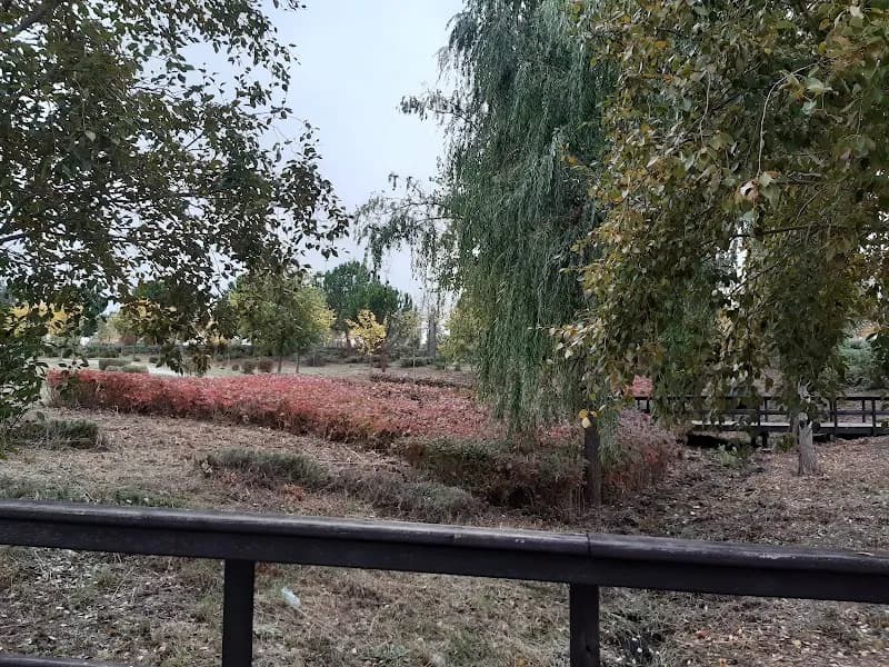 View of La dehesa vieja in San Sebastián de los Reyes, Madrid