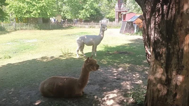 View of La Ferme Maximilien - De Maximiliaan boerderij in Anderlecht, BRU