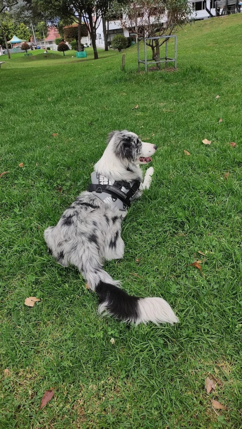 View of La Floresta Park in Suba, CD