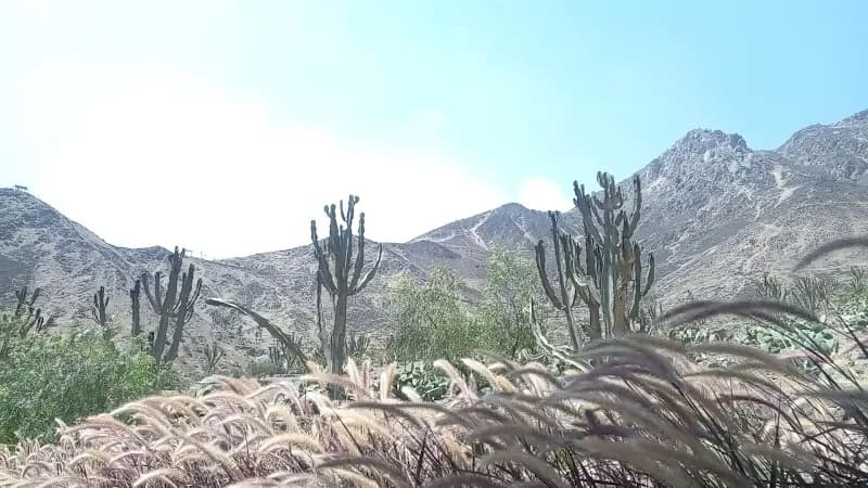View of La Molina Ecological Park in La Molina, Lima