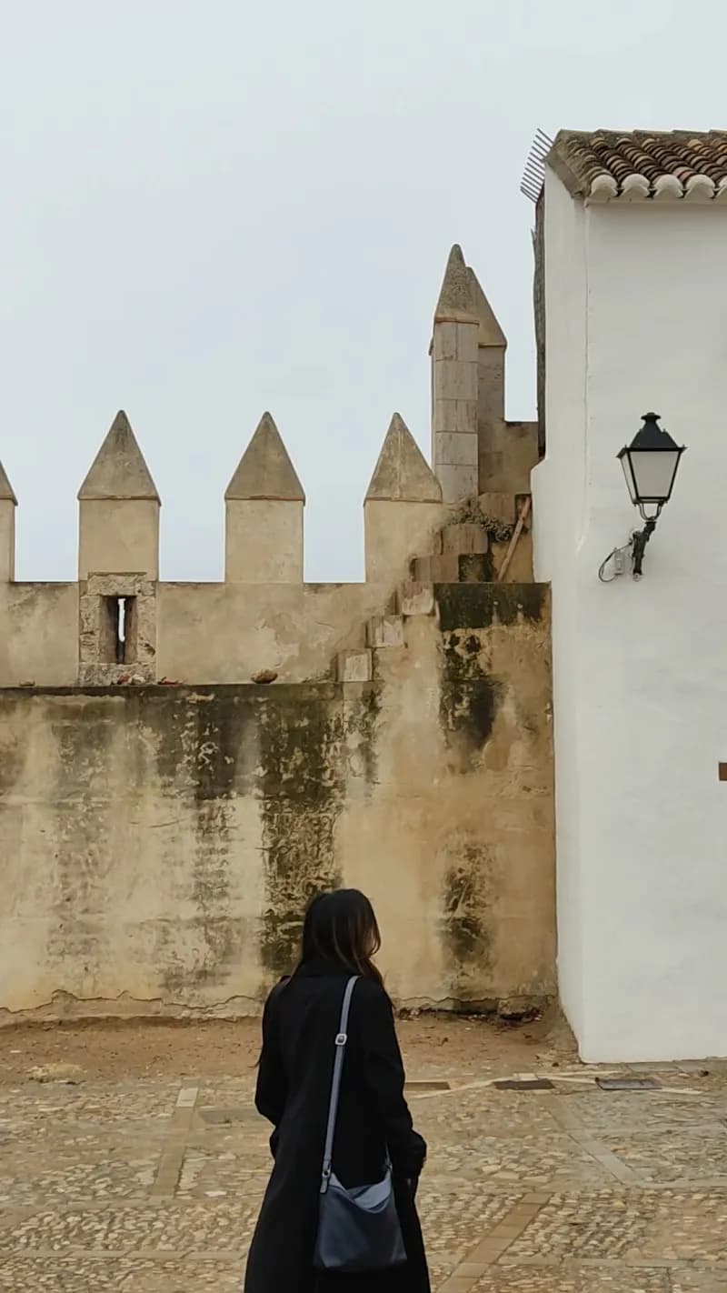 View of La Tomatina festival in Buñol, V