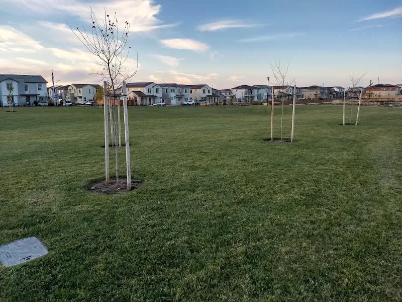 View of Labyrinth Community Park in Rancho Cordova, CA