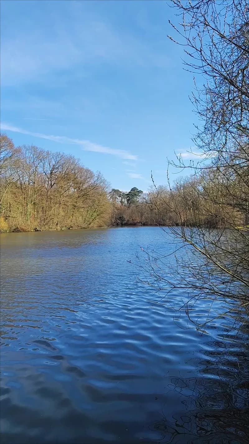 View of Lac des Minimes in Vincennes, IDF