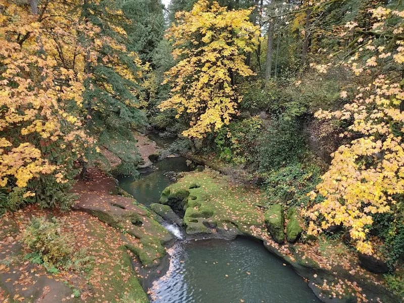 View of Lacamas Heritage Trail in Camas, WA
