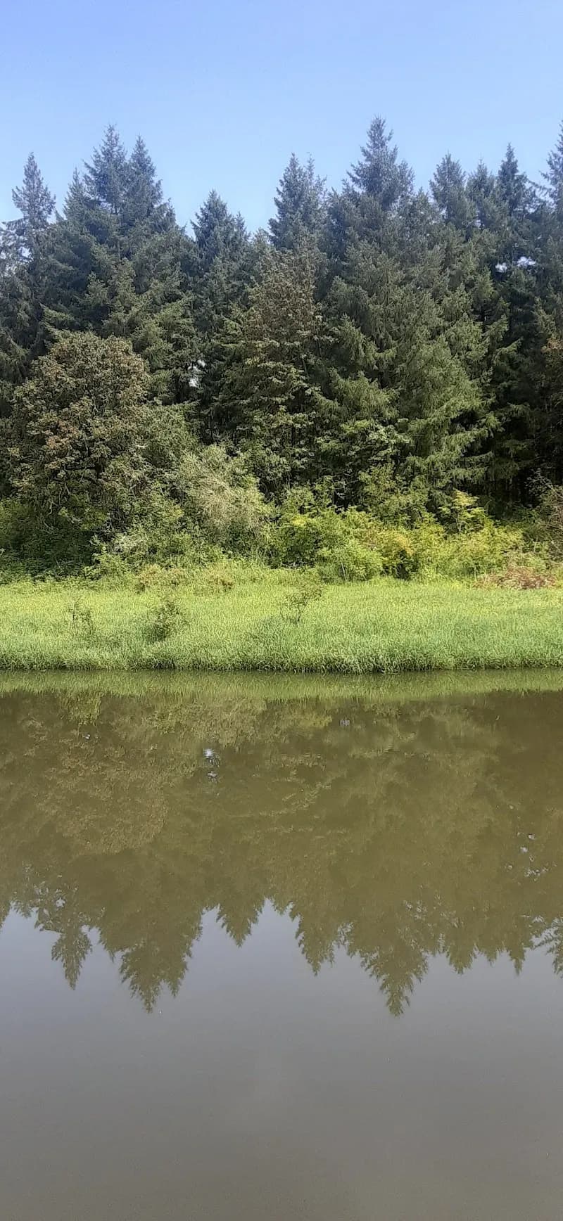 View of Lacamas Heritage Trail in Camas, WA