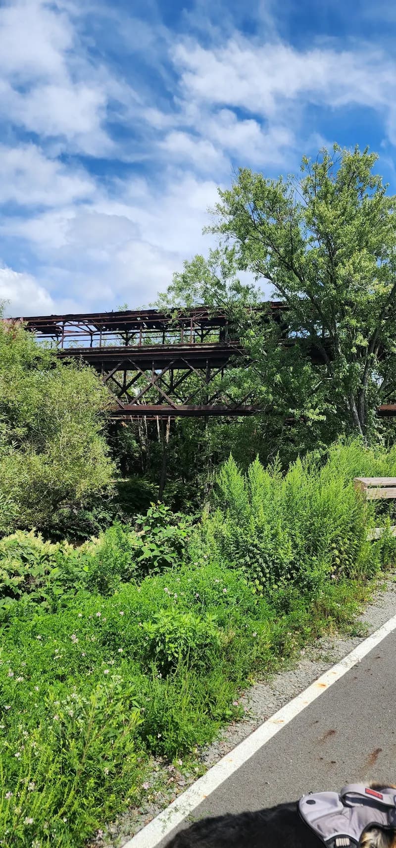 View of Lackawanna River Heritage Trail - Boulevard Ave. Trailhead in Scranton, PA