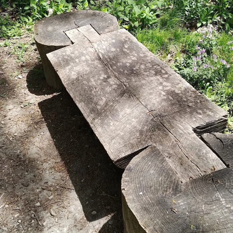 View of Ladd Arboretum in Evanston, IL