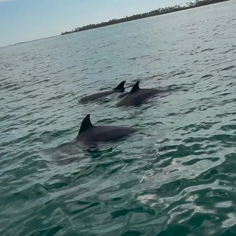 View of Lagoon Pontoons in Panama City Beach, FL