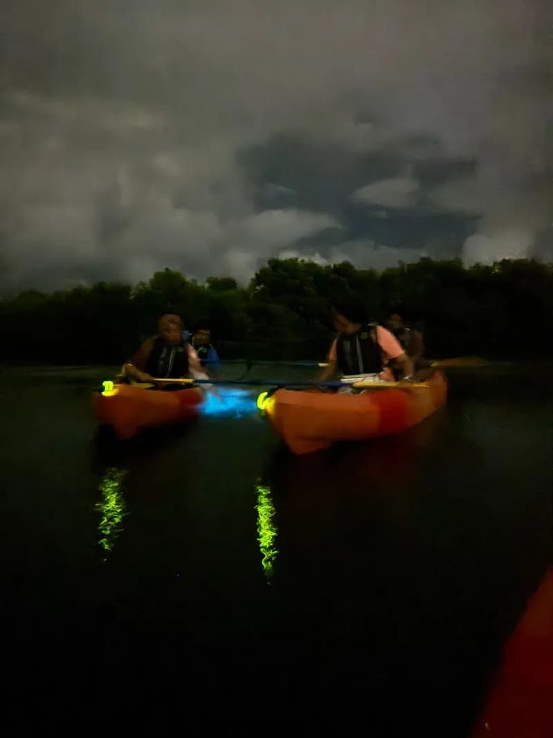 View of Laguna Grande in Loíza, PR