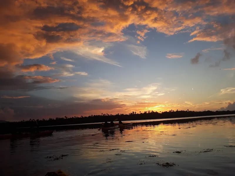 View of Laguna Grande in Loíza, PR