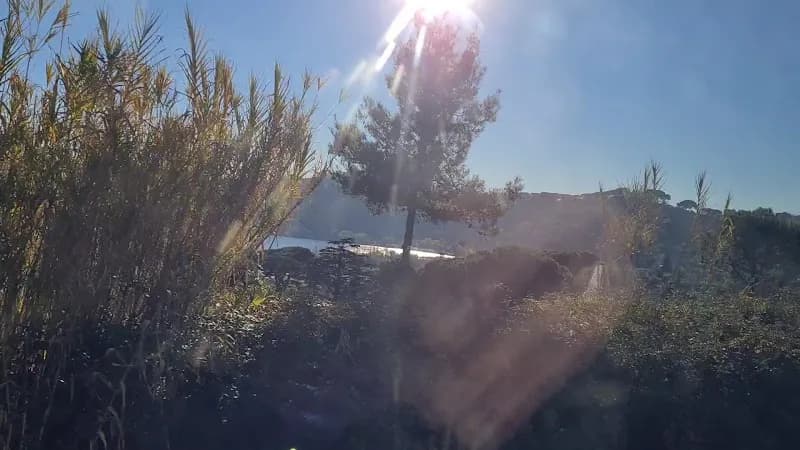 View of Lake Albano in Castelli Romani, Lazio