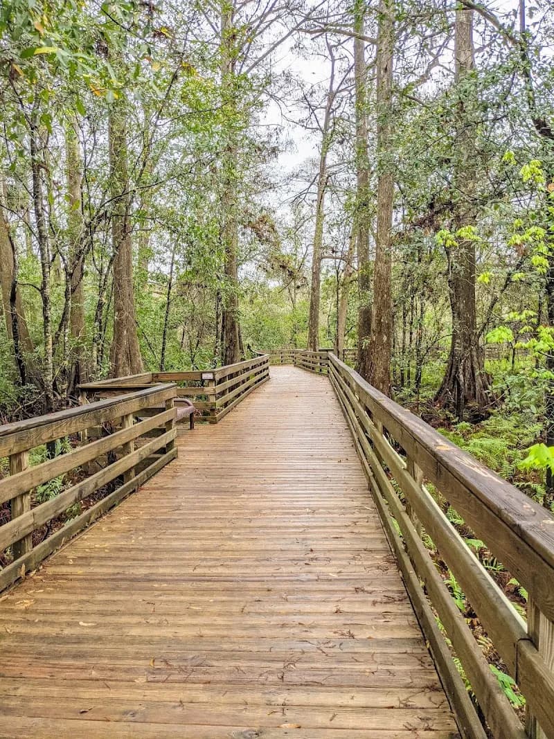 View of Lake Lotus Park in Altamonte Springs, FL