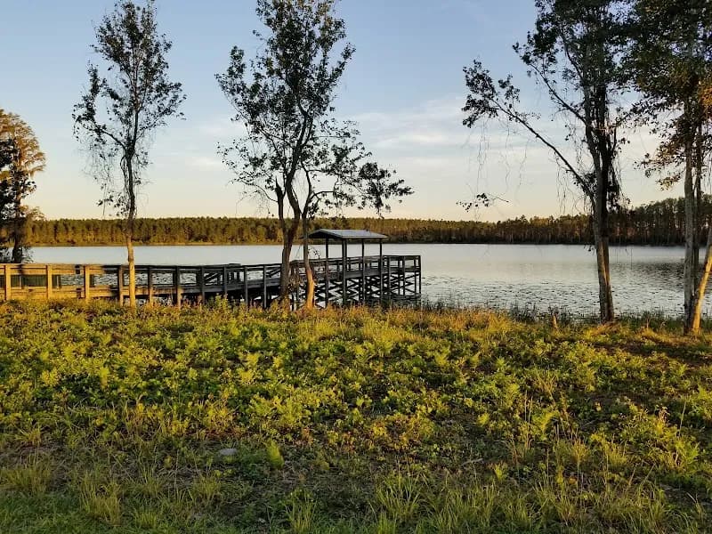 View of Lake Louisa State Park in Ocoee, FL