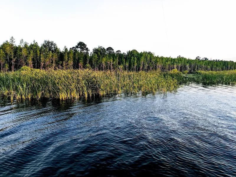 View of Lake Sampson in Starke, FL