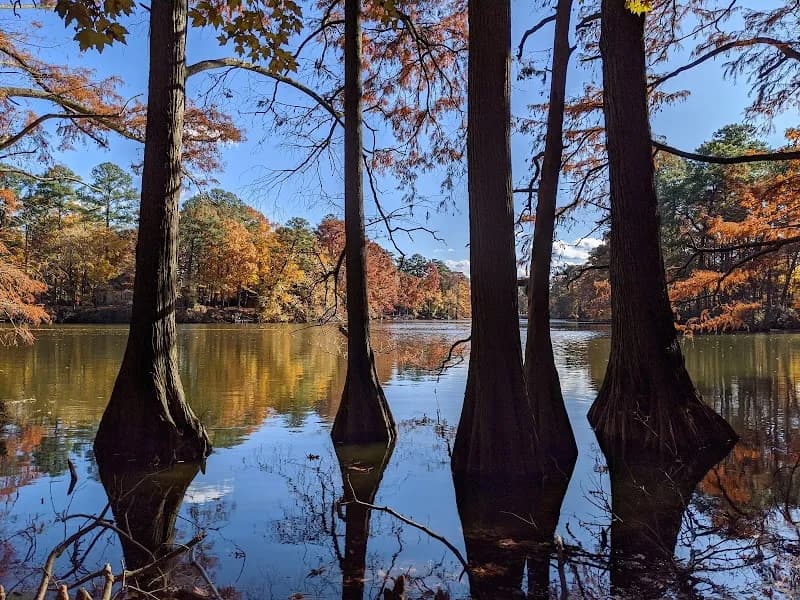 View of Lake Smith Lake Lawson Natural Area in Kempsville, VA