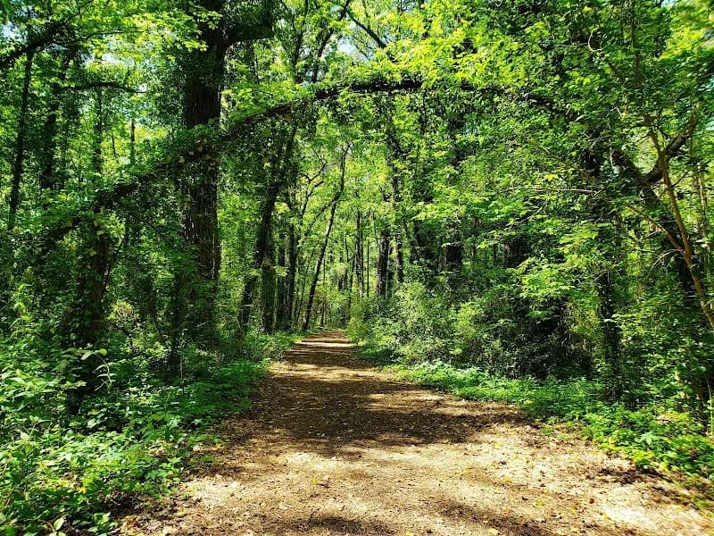 View of Lake Smith Lake Lawson Natural Area in Kempsville, VA