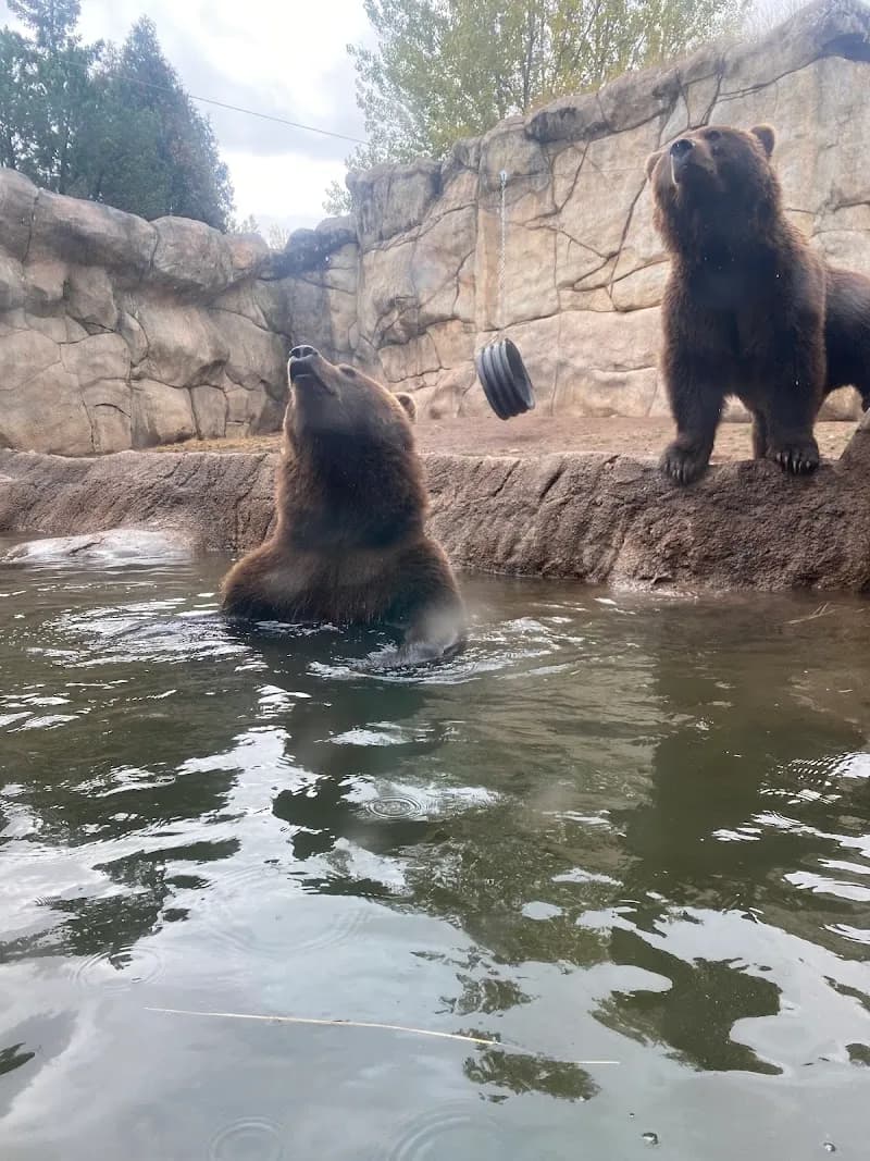 View of Lake Superior Zoo in Duluth, MN