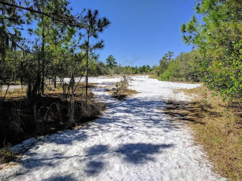 View of Lakeland Highlands Scrub in Lakeland, TN
