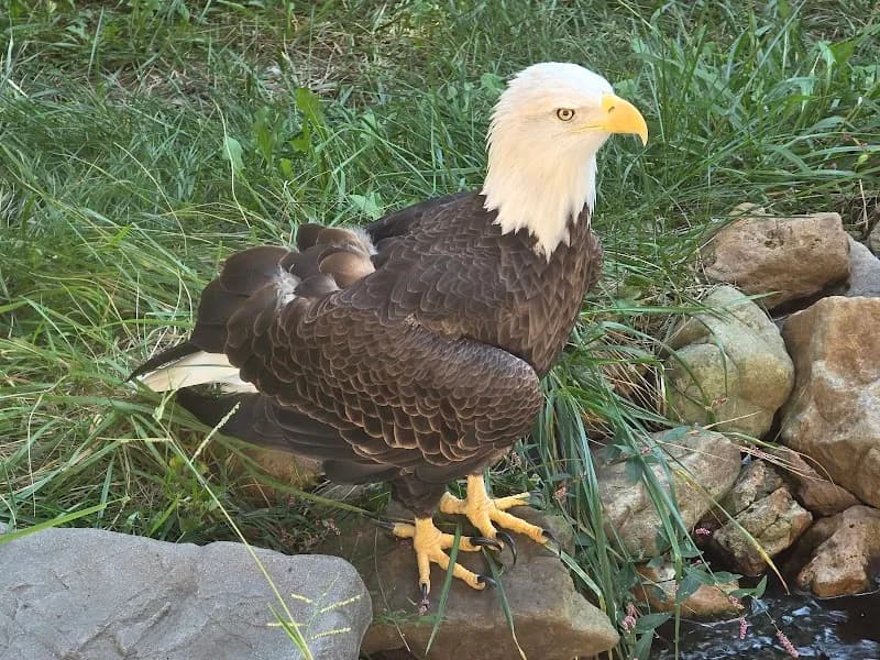 View of Lakeside Nature Center in Kansas City, MO