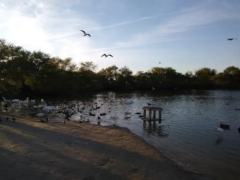 Lakeview Park park in Corpus Christi, TX