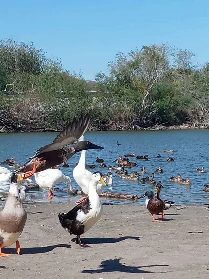 View of Lakeview Park in Corpus Christi, TX