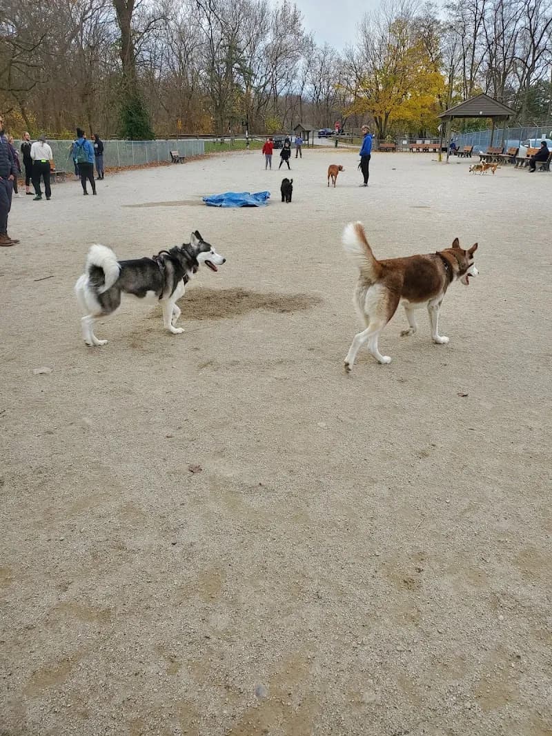 View of Lakewood Dog Park in Lakewood, OH