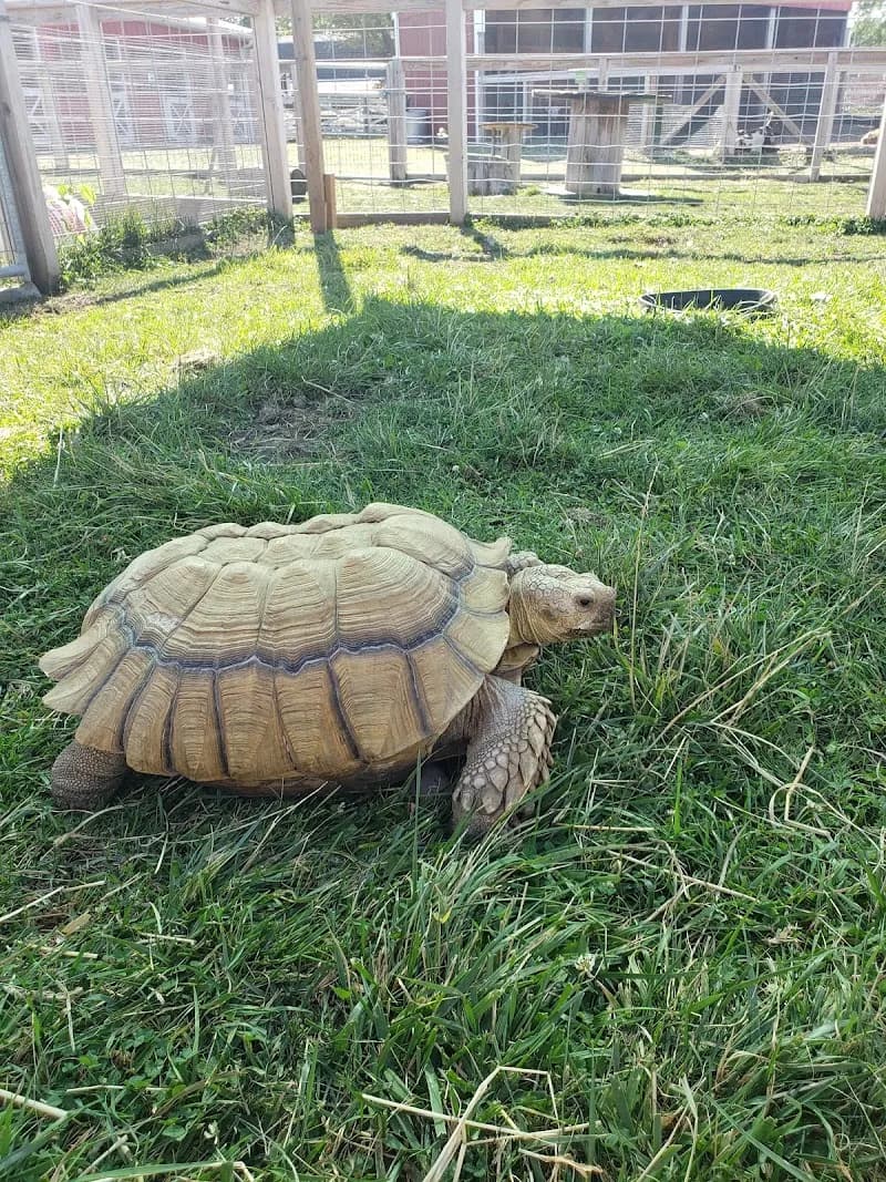 View of Lambs Farm in Libertyville, IL