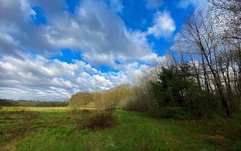 View of Lamprey River Preserve in East Kingston, NH