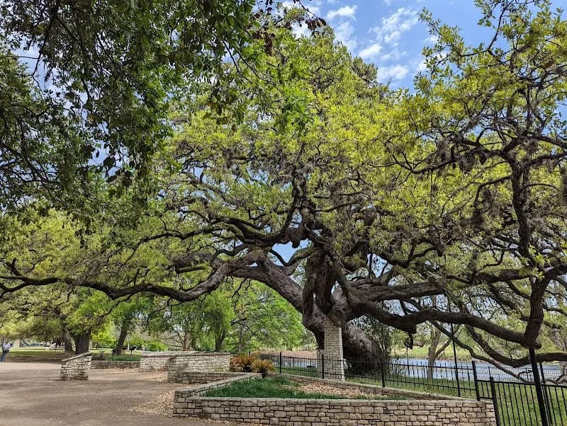 View of Landa Park in New Braunfels, TX