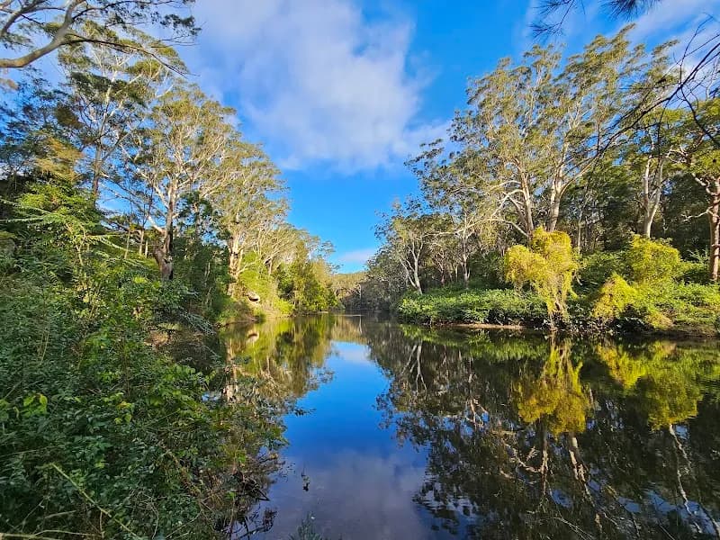 View of Lane Cove National Park in Pymble, NSW