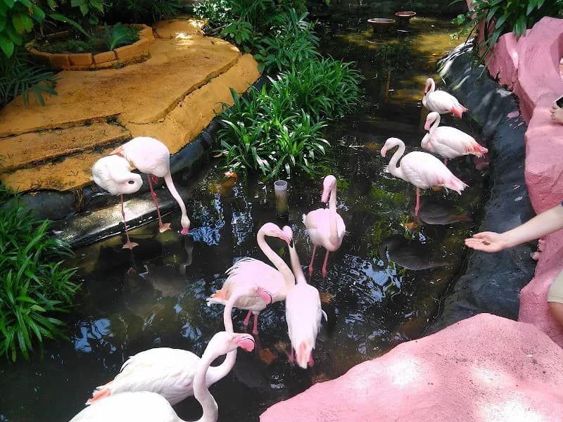 Langkawi Wildlife Park wildlife park in Langkawi, KD