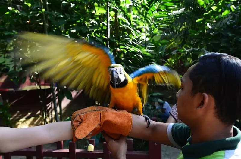 View of Langkawi Wildlife Park in Langkawi, KD