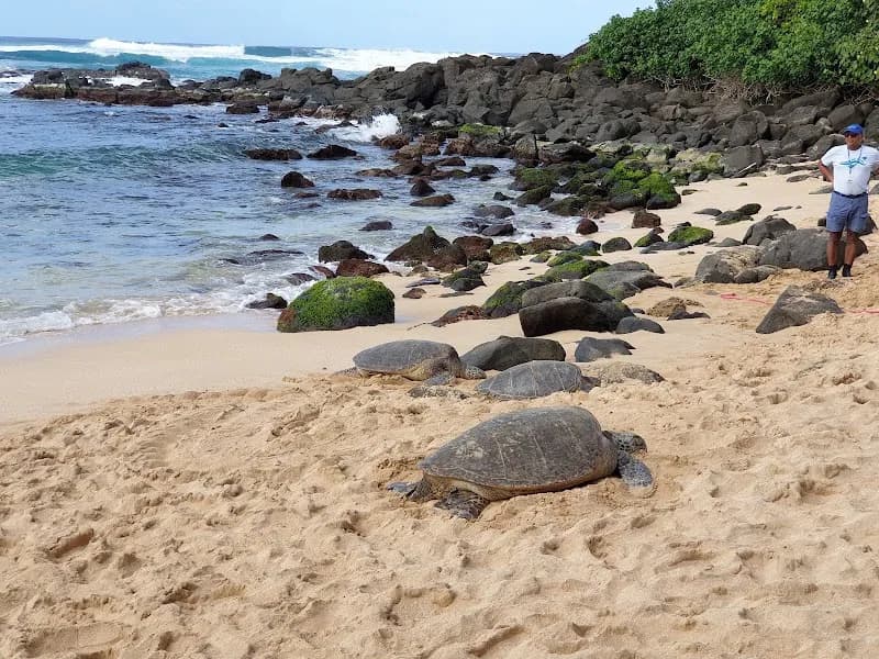 View of Laniakea Beach in Oahu, HI