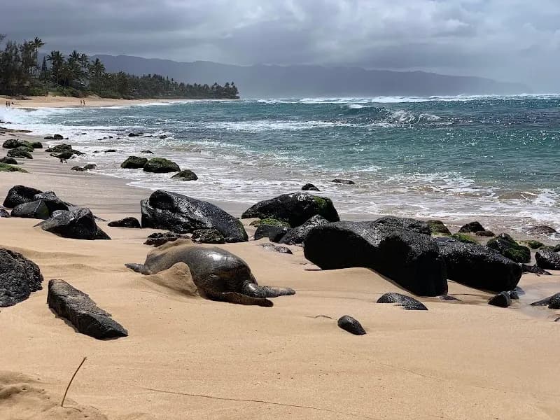View of Laniakea Beach in Oahu, HI