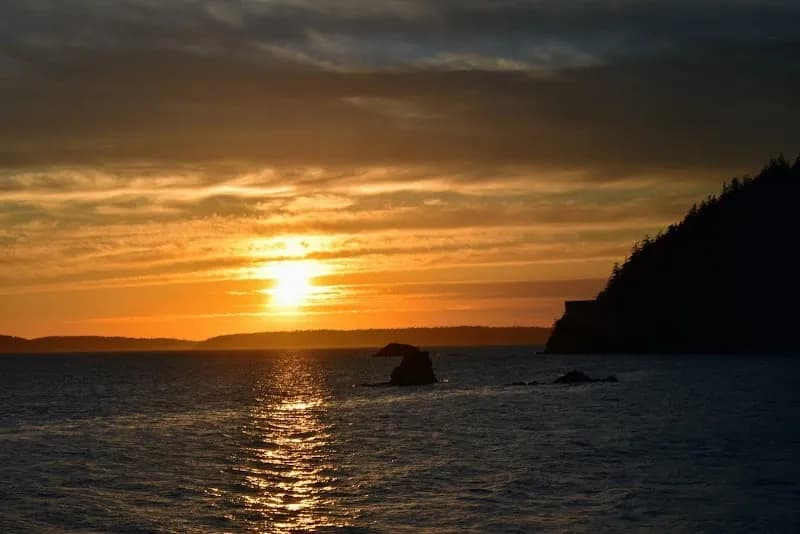 View of Larrabee State Park in Bellingham, WA