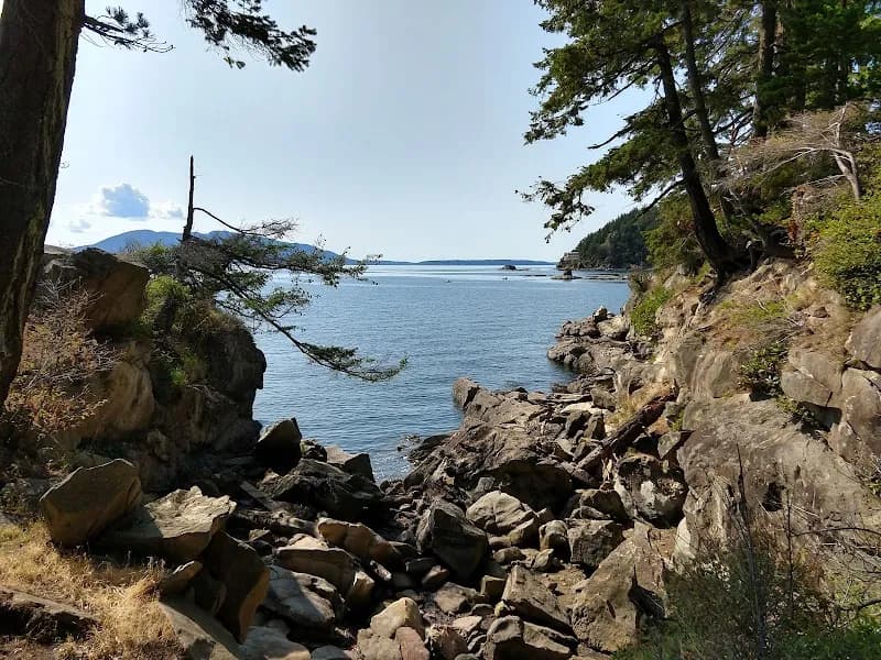 View of Larrabee State Park in Bellingham, WA