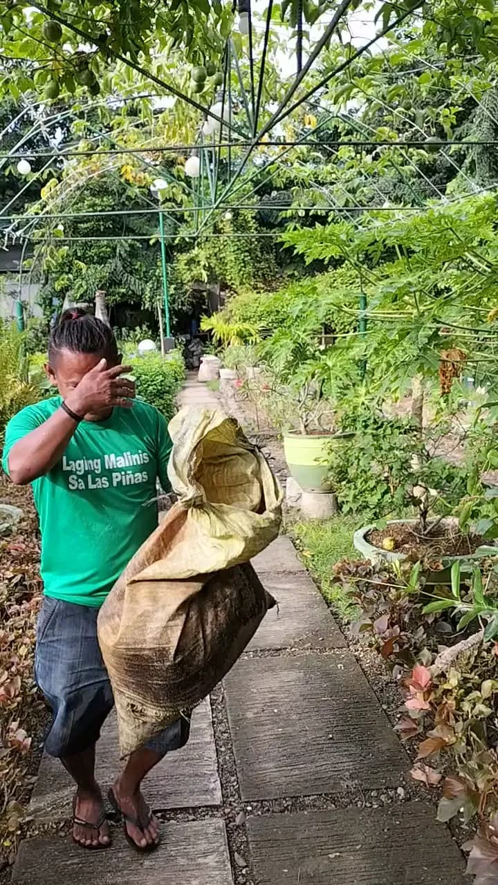View of LAS PIÑAS BOTANICAL GARDEN in Las Piñas, NCR