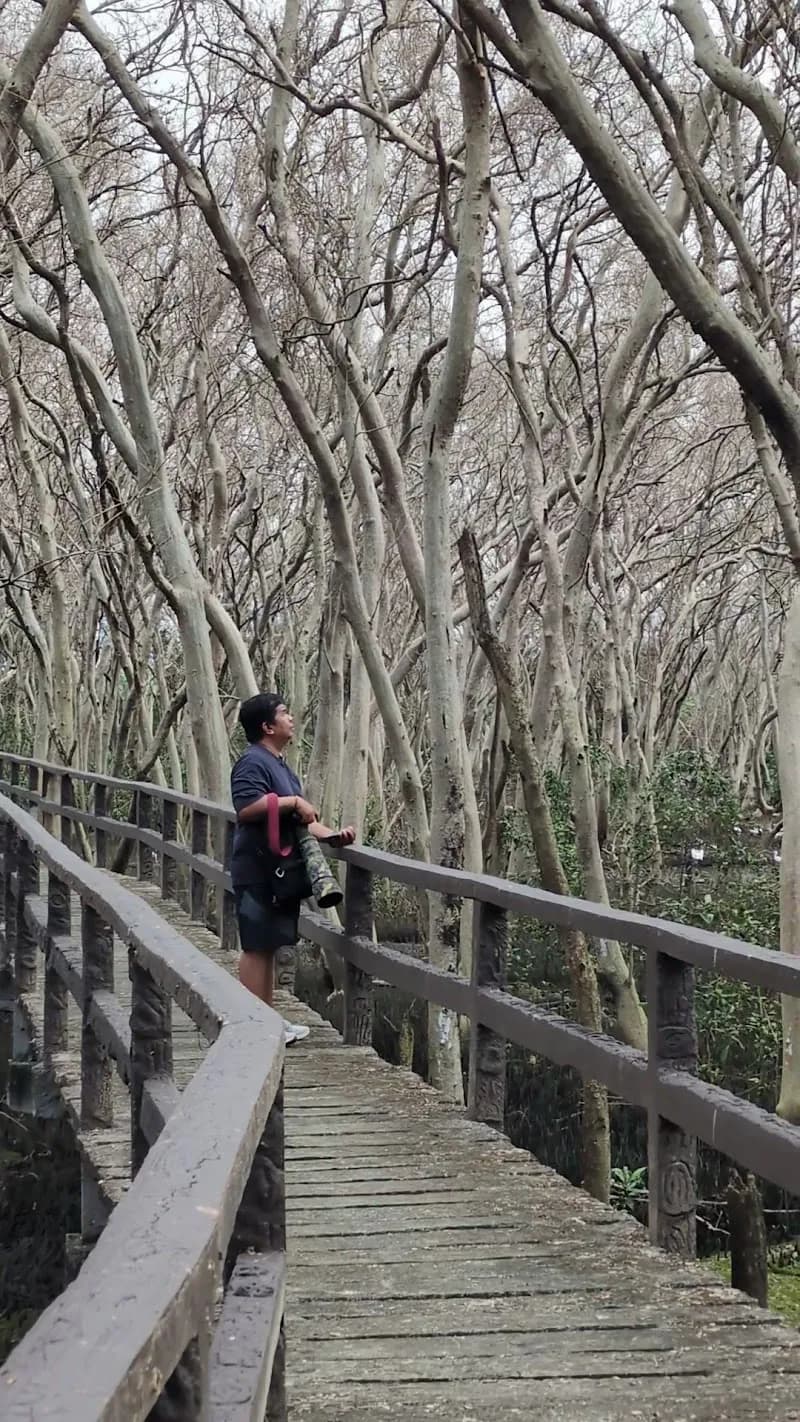 View of Las Piñas-Parañaque Wetland Park in Las Piñas, NCR