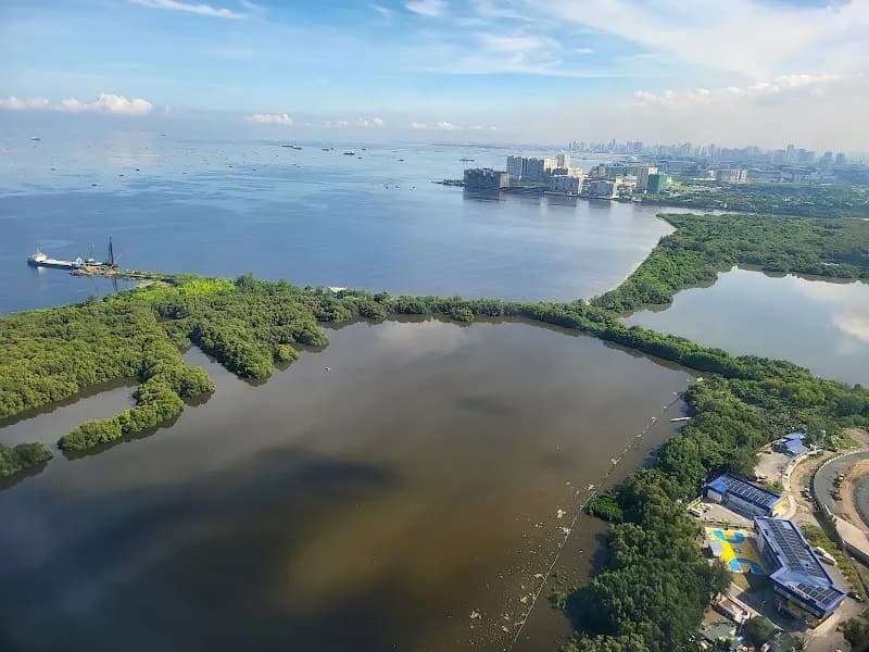 View of Las Piñas-Parañaque Wetland Park in Las Piñas, NCR