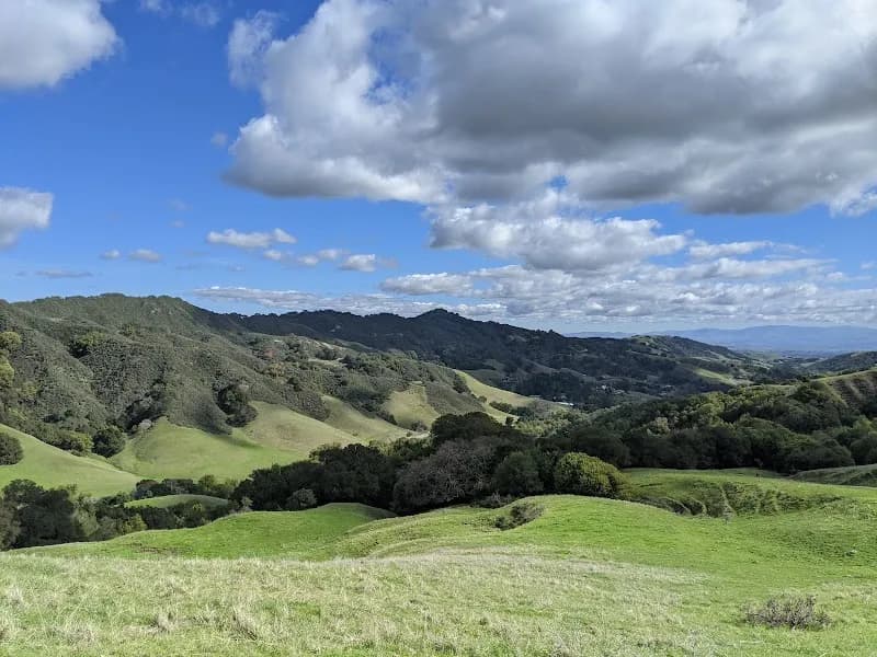 Las Trampas Wilderness Regional Preserve park in Lafayette, CA