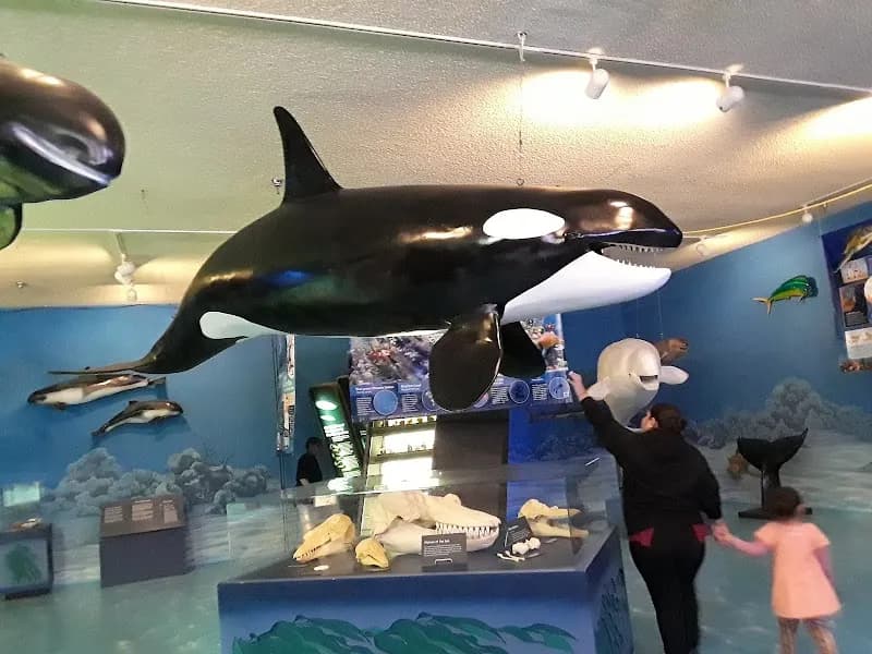 View of Las Vegas Science & Natural History Museum in Las Vegas, NV