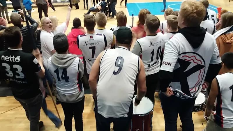 View of Laugardalsholl Sport Centre in Sundhöllin, CR