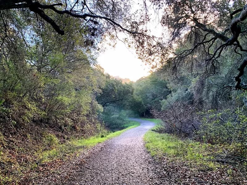 View of Laurelwood Park in San Mateo, CA