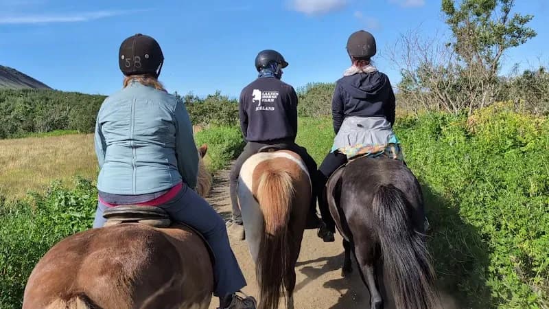 View of Laxnes Horse Farm in Mosfellsbær, CR