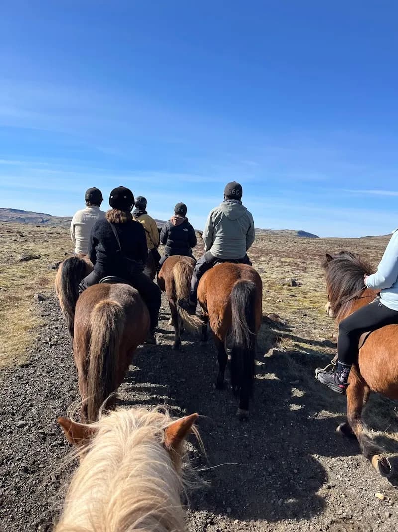 View of Laxnes Horse Farm in Mosfellsbær, CR