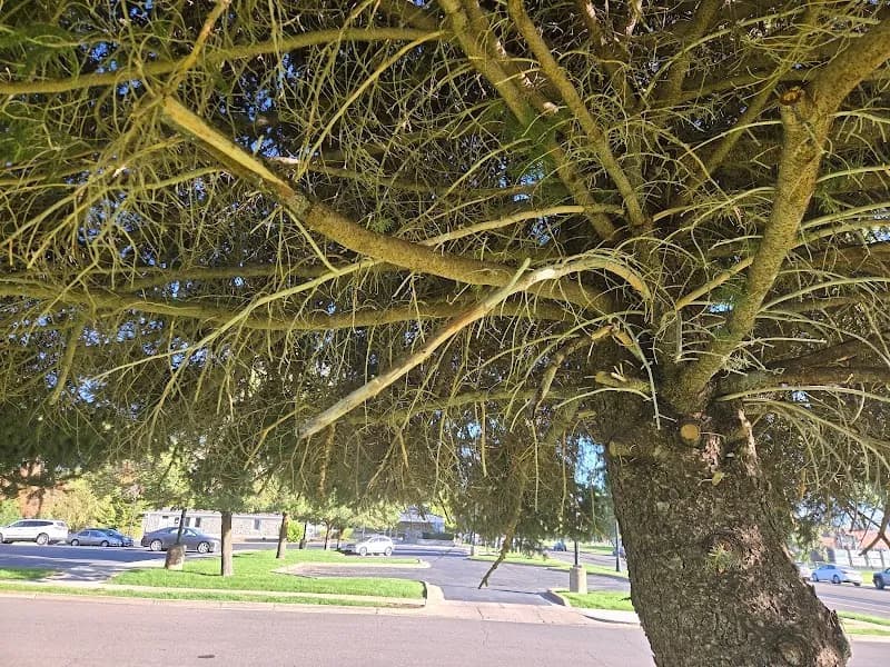 View of Layton City Parks and Recreation Department in Layton, UT