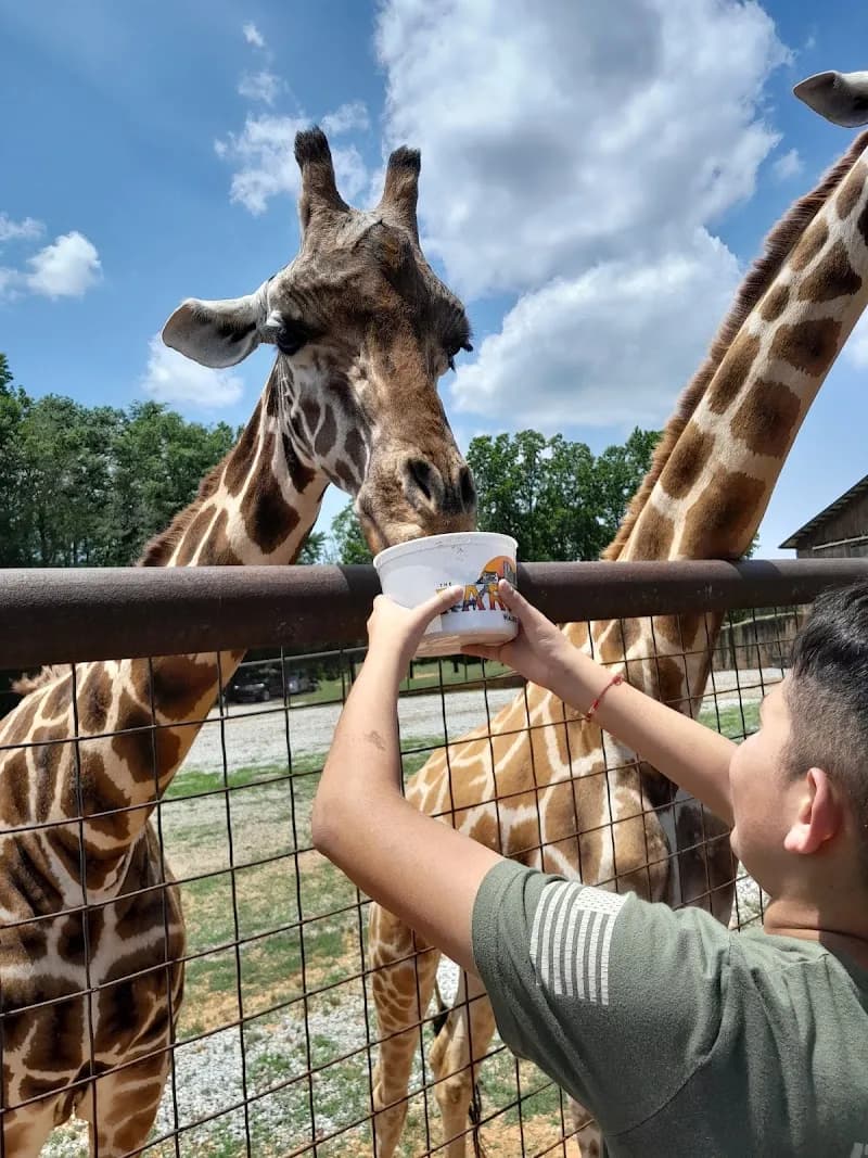 View of Lazy 5 Ranch in Charlotte, NC