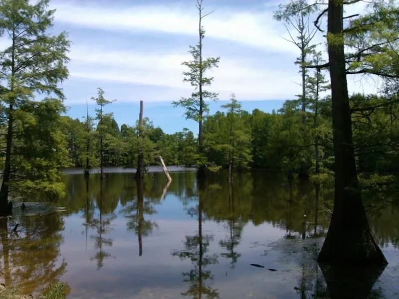 View of LeFleur's Bluff State Park Mayes Lake in Jackson, MS