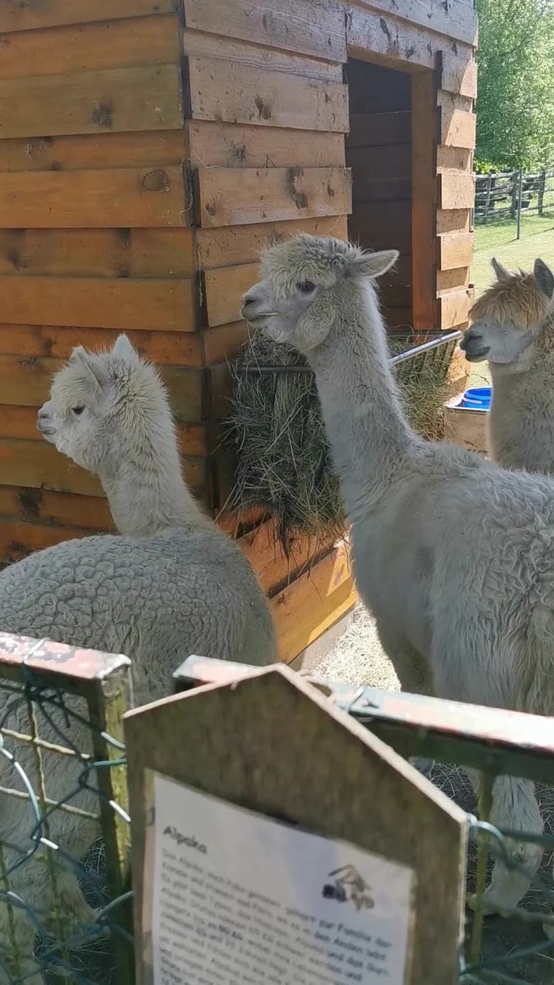 View of Leisure center "Red farm" Strausberg in Strausberg, BB