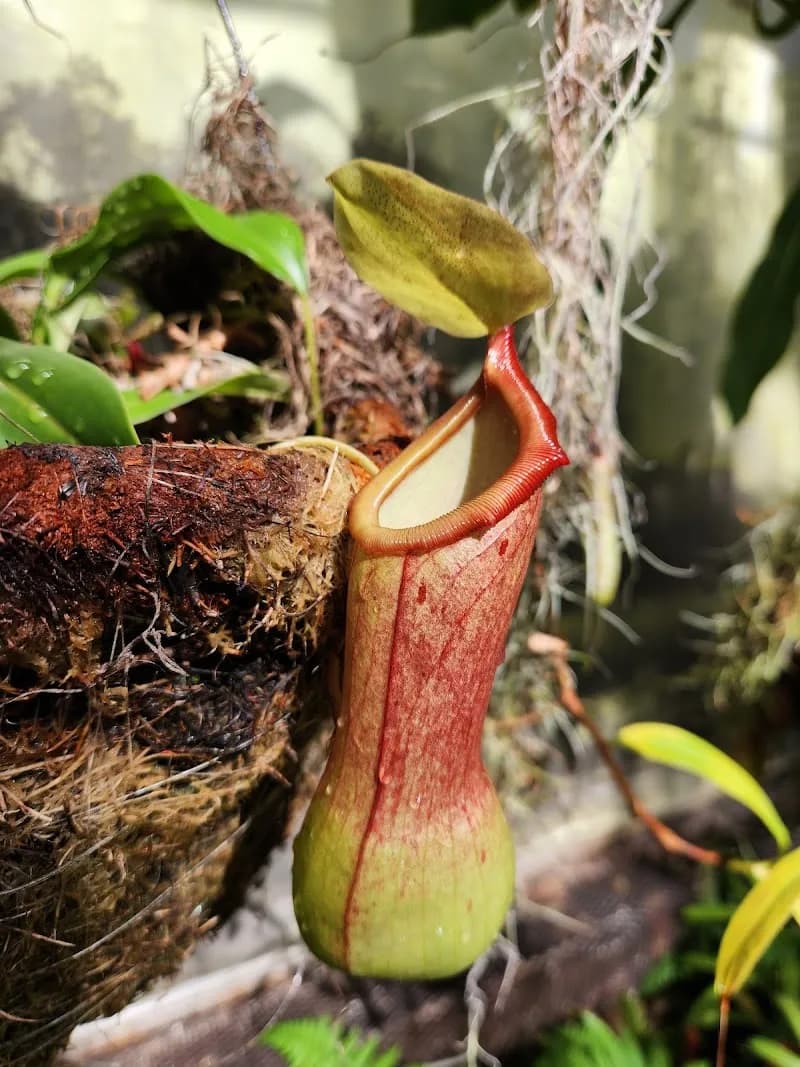 View of Lena Meijer Tropical Conservatory in Grand Rapids, MI